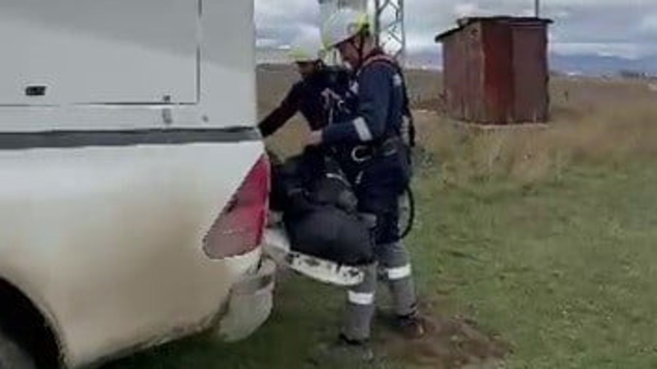 palandöken'de direğe tırmanan yavru bozayı elektrik akımına kapılarak hayatını kaybetti
