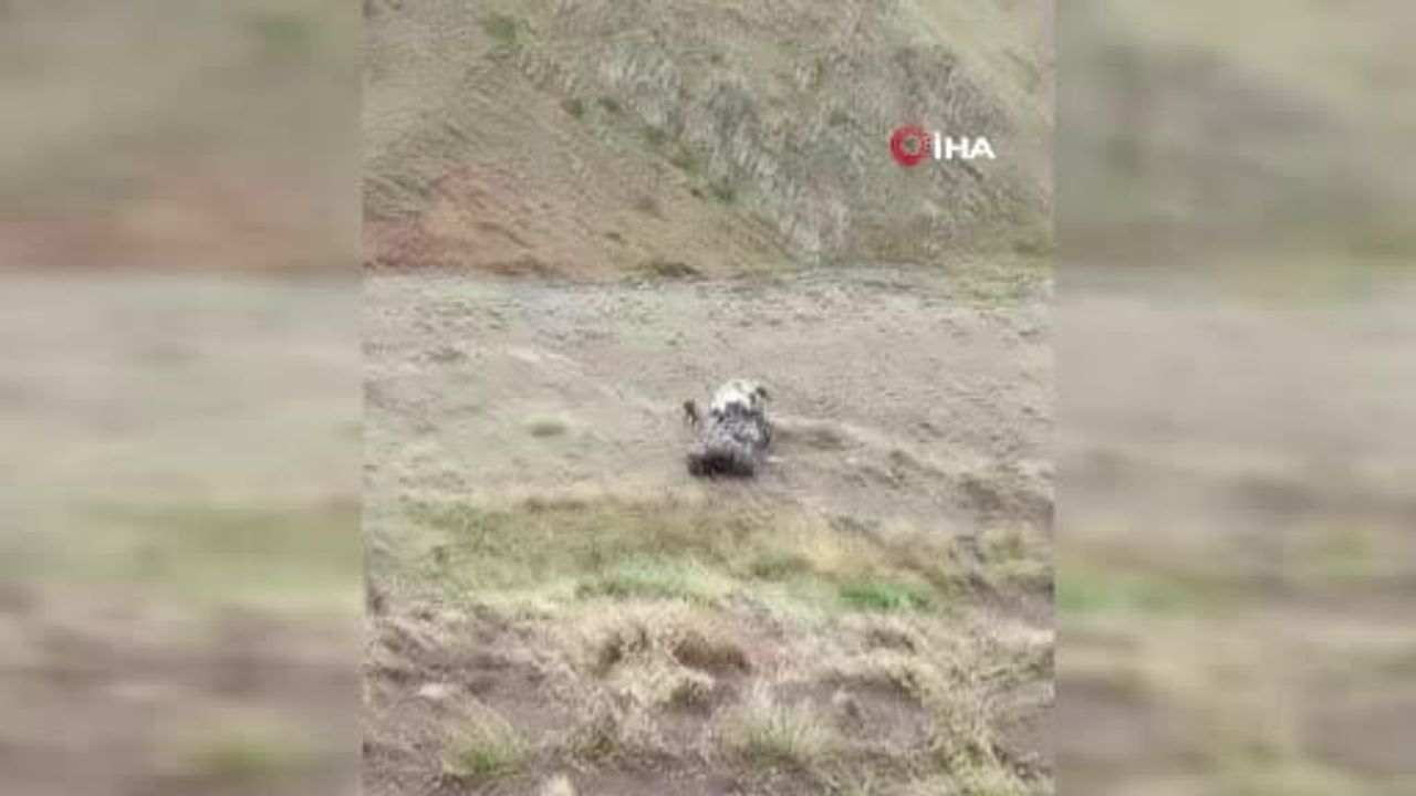 Palandöken geçidinde tır için ölümcül kaza: yöre halkı tünel istiyor