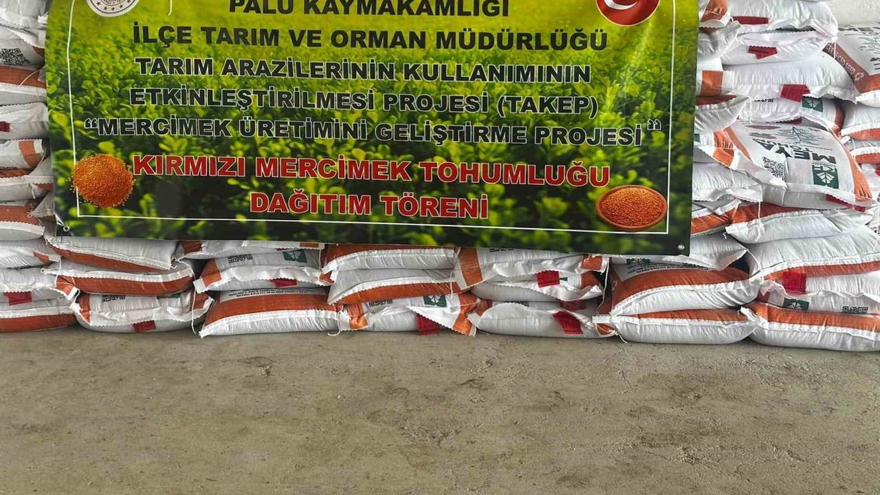 Palu’da çiftçiye düşük maliyetli gelir kapısı: yüzde 70 hibe ile kırmızı mercimek