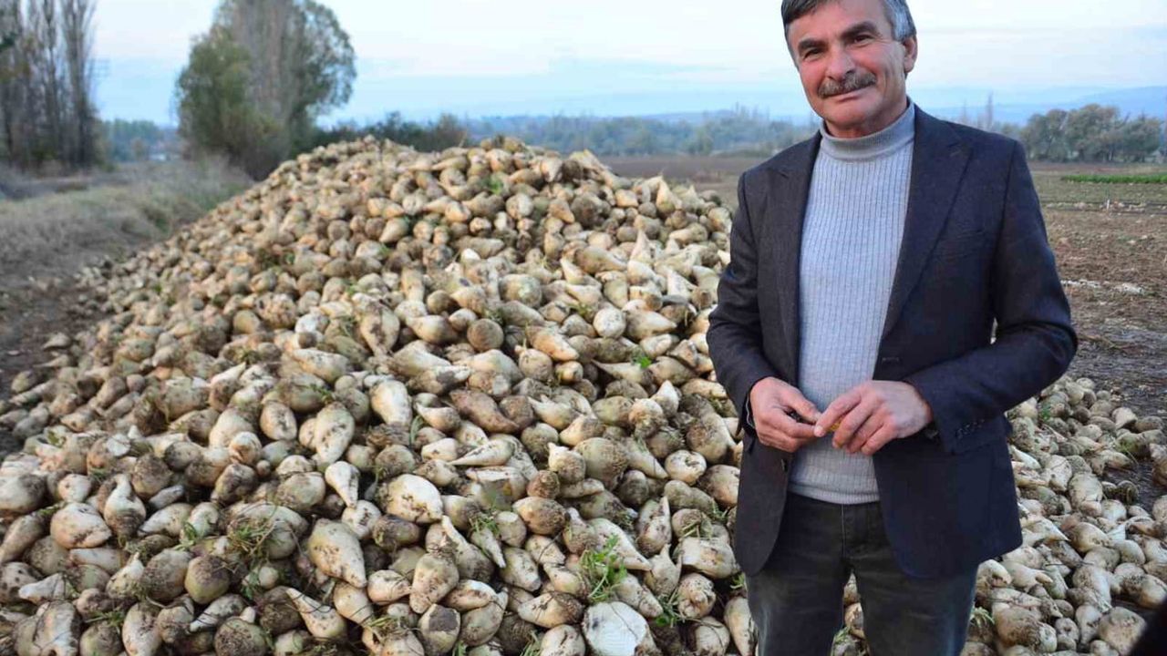 Pancar verimi tartışması: üreticinin 'kazanmıyorum' iddialarına yanıtı