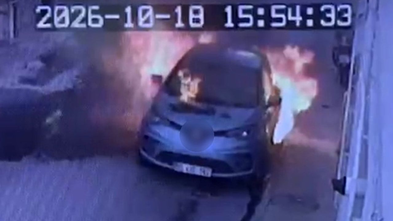 park halindeki elektrikli otomobilin alevlere teslim olduğu anlar kamerada