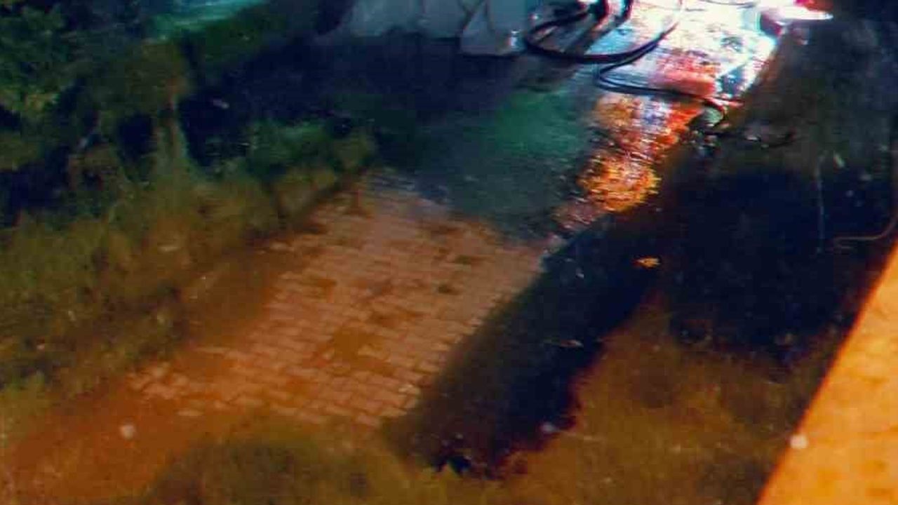 Park halindeki Skywell elektrikli otomobil Araklı Merkez Mahallesi'nde gece yanarak kullanılamaz hale geldi