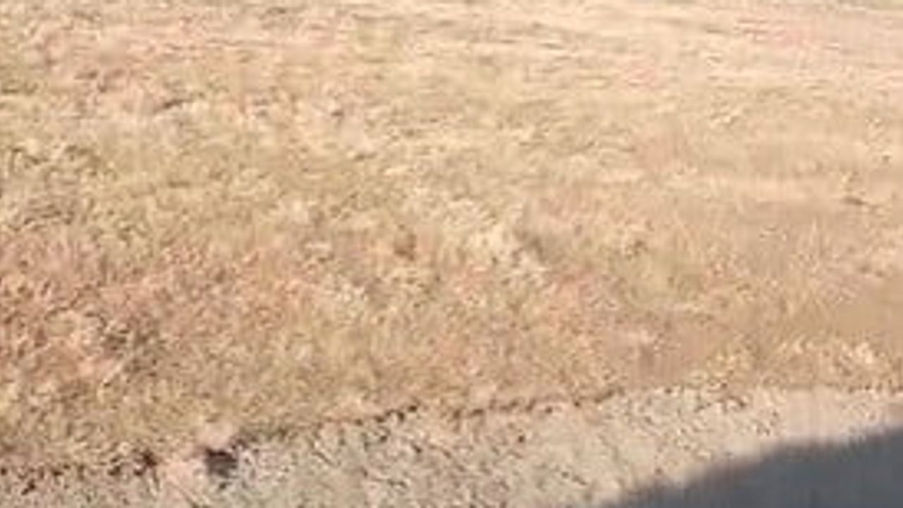 Park halindeyken hareket eden otomobil Gökdere'de dere yatağına yuvarlandı