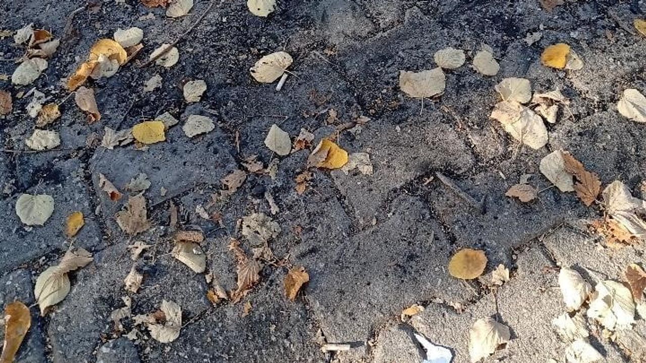 Parkta yakılan ateş ortak kullanım alanlarını tartışmaya açtı