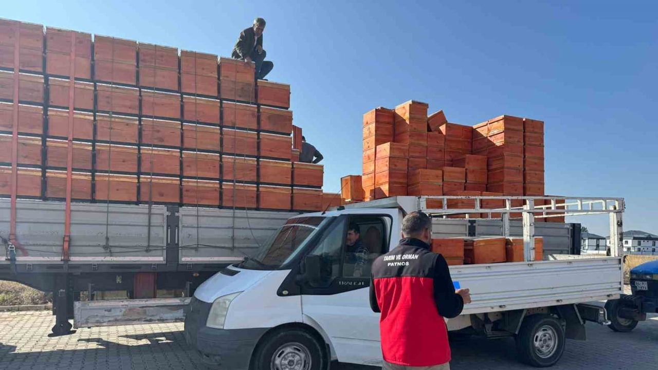 Patnos'ta üretime üç kollu destek: yemlik, arısız kovan ve tohum