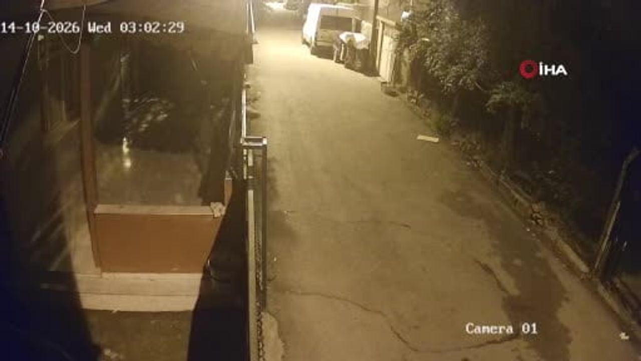 Penseyle kilidi kırıp evleri soyan zanlı Adana'da yakalandı