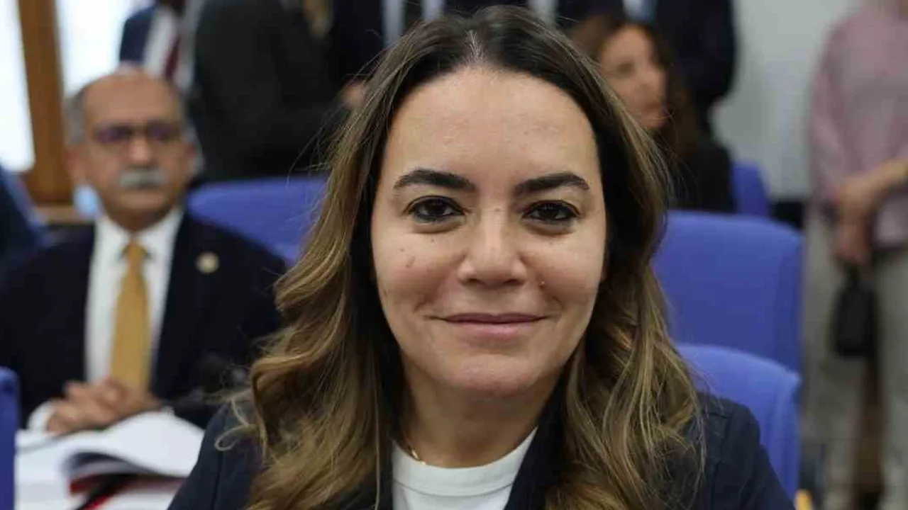 Plan ve bütçe komisyonunda önergelerin dili tartışma yarattı