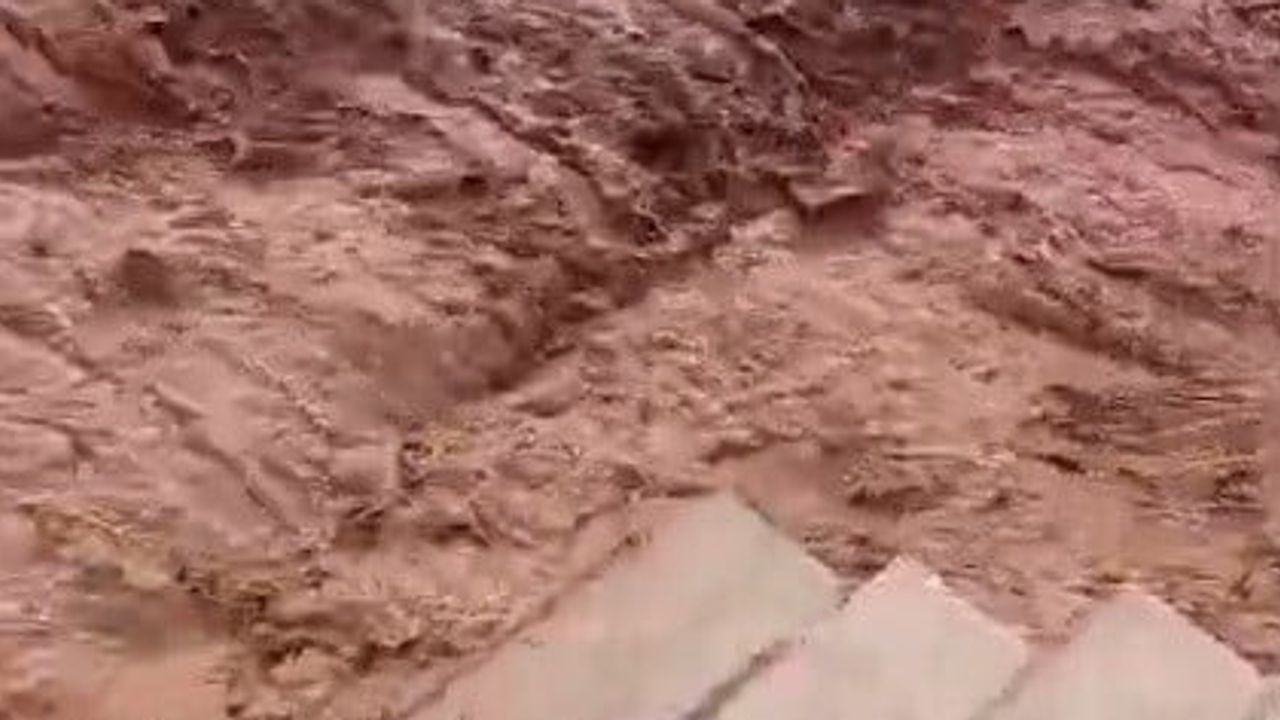 Reyhanlı'da öğle yağışı sele dönüştü, tarım arazileri ve ahırlar zarar gördü