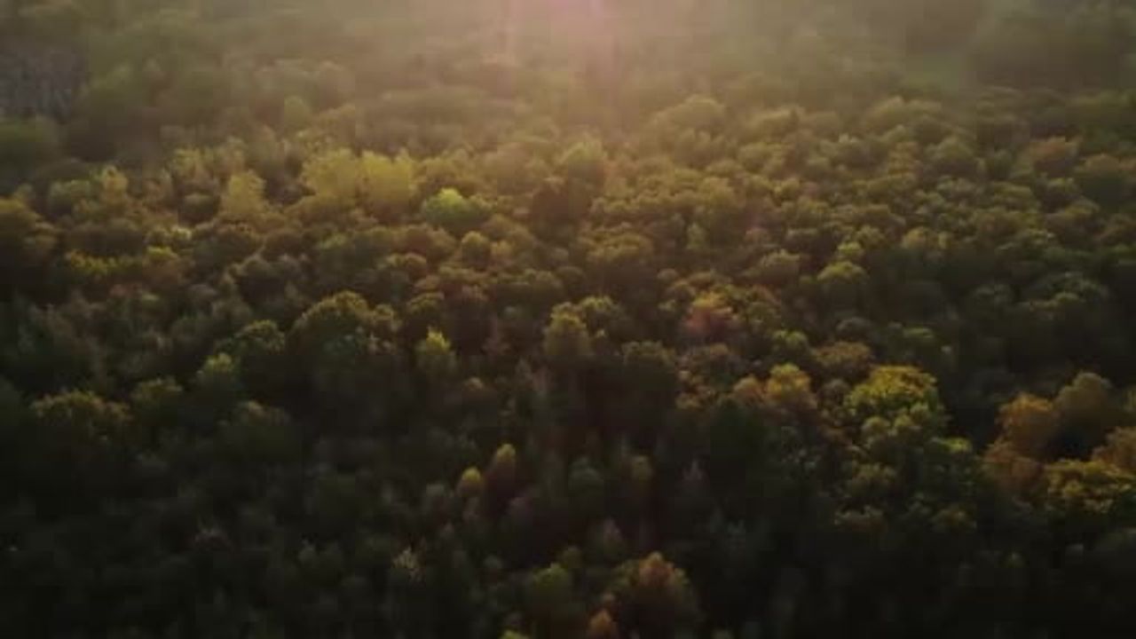 RTÜK'ten yayıncılara çağrı: COP31 kamu spotlarıyla iklim farkındalığı artmalı