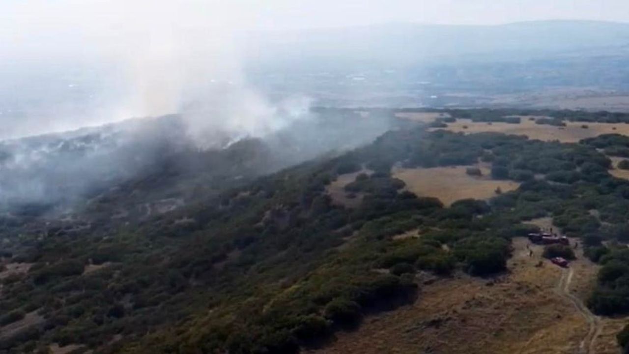 Rüzgarın etkisiyle yayılan orman yangını Kahramankazan'da kontrol altına alındı