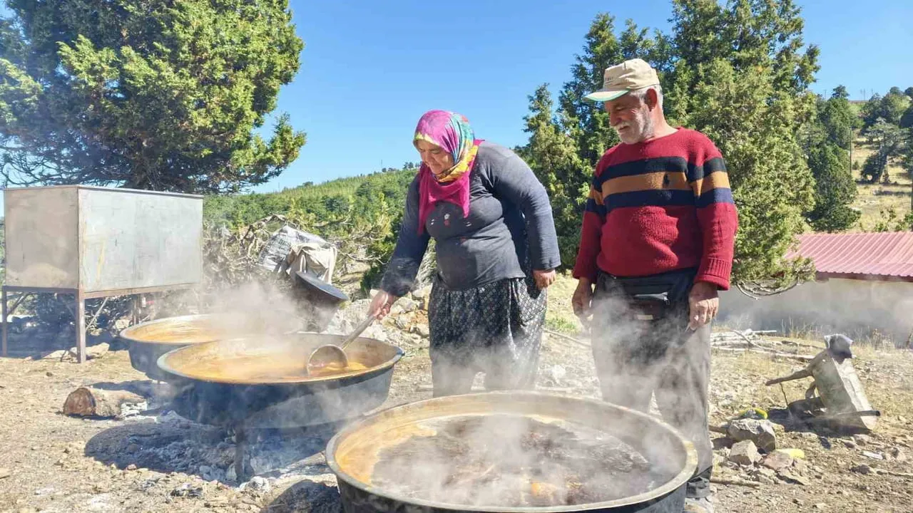 Sahilden yaylaya harnup mesaisi: Toroslar'da organik pekmez üretimi