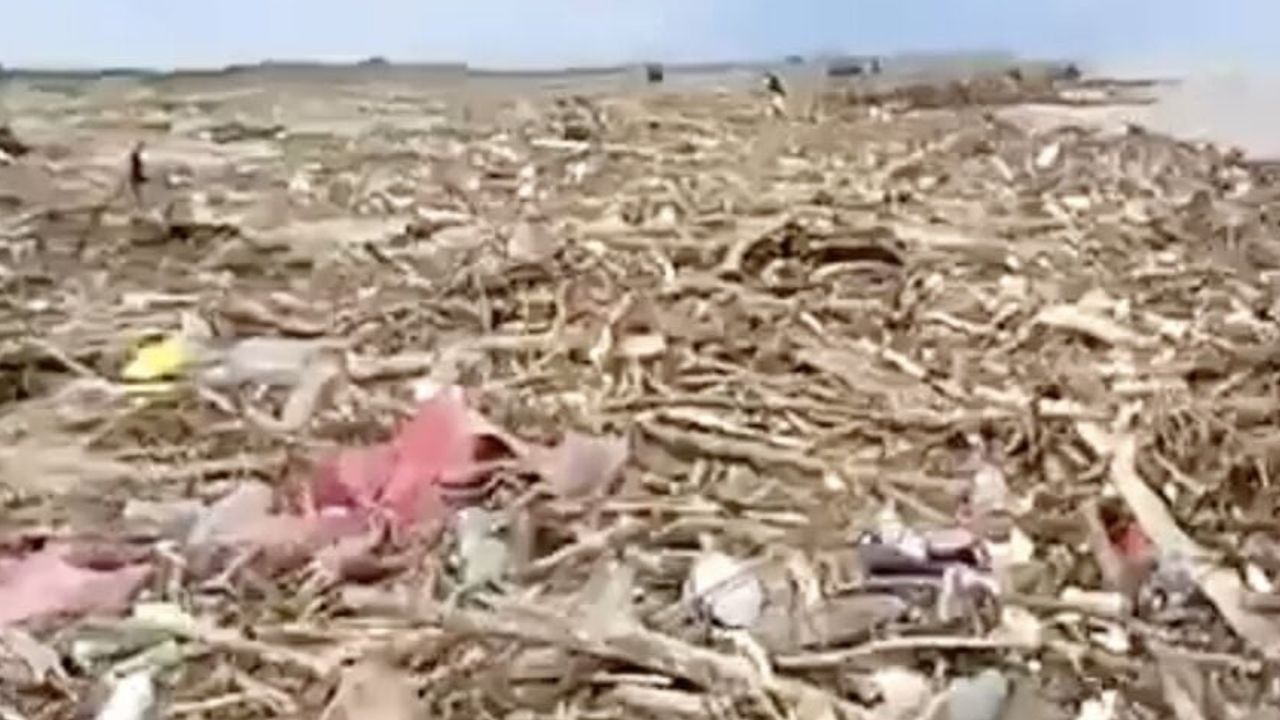 Sahile vuran nehir parçaları Karasu İhsaniye'de geniş alan kapladı
