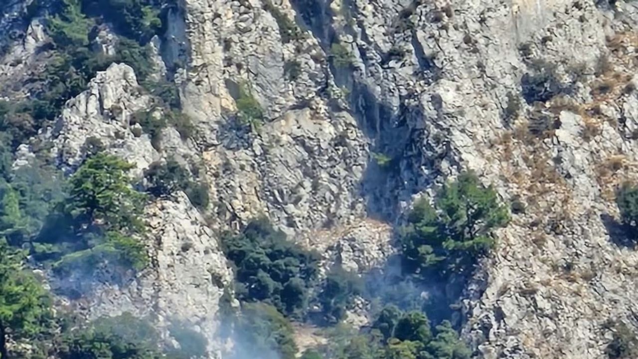 Sakar'da makilik alevleri hızla kontrol altına alındı