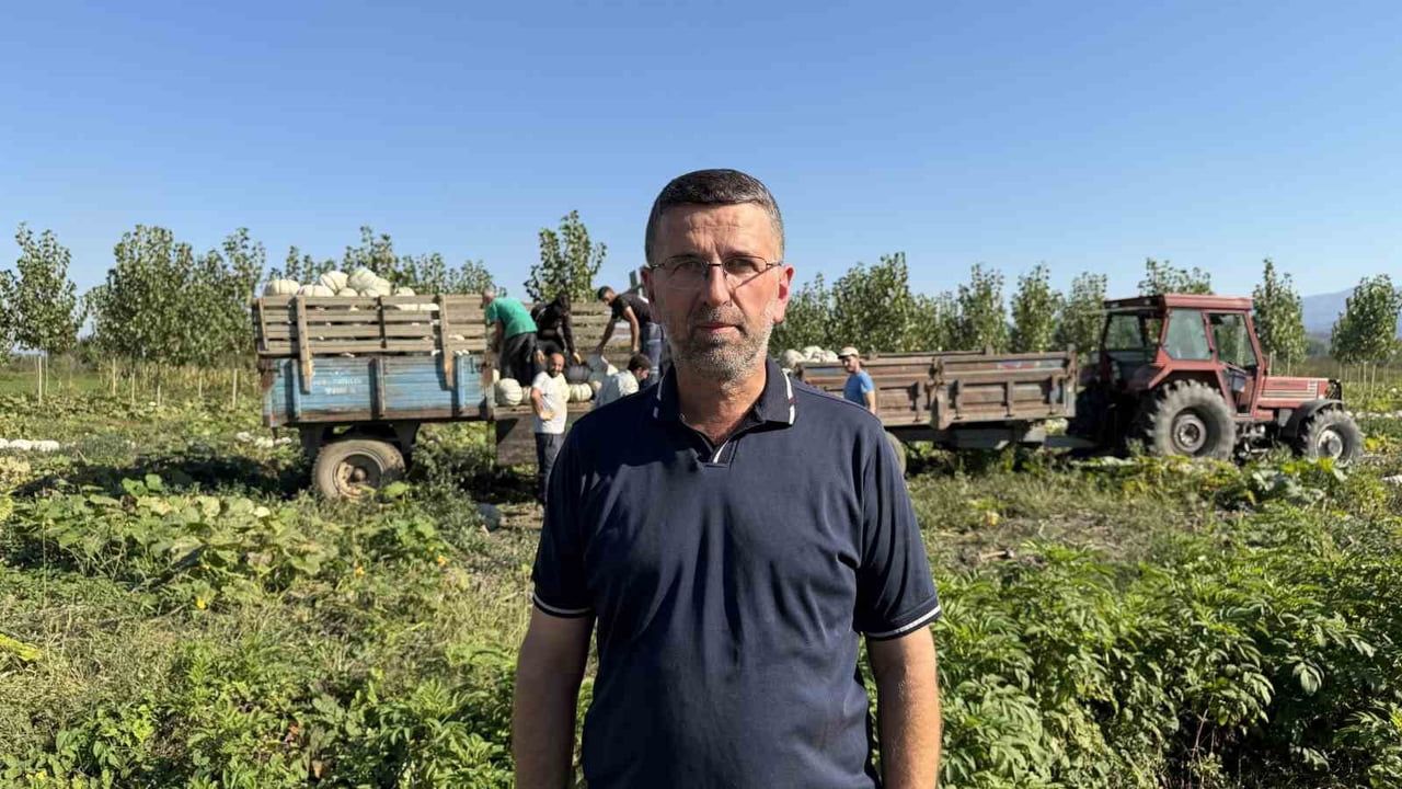 Sakarya'dan sofraya beyaz elmasın yolculuğu