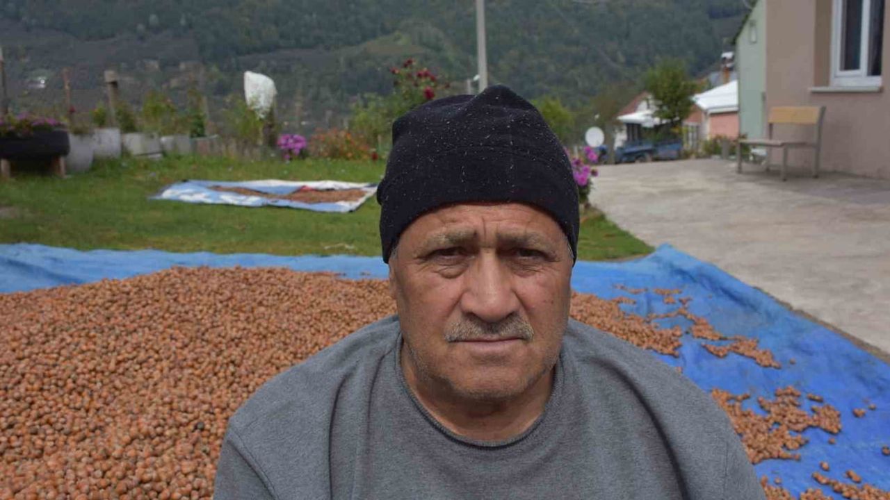 Sakarya yükseklerinde harman zamanı: yağış iç doluluğu artırdı, delik oranı yükseldi