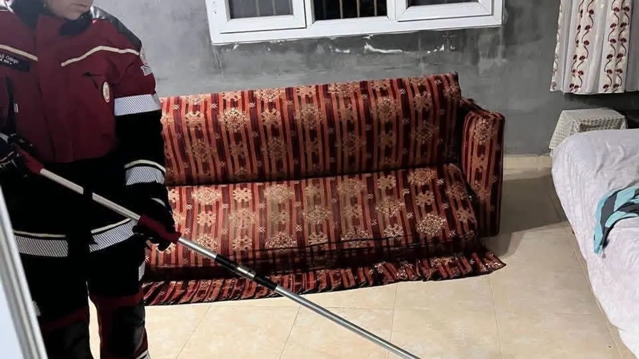 Samandağ Yeni Mahalle'de yılan güvenle doğaya geri bırakıldı