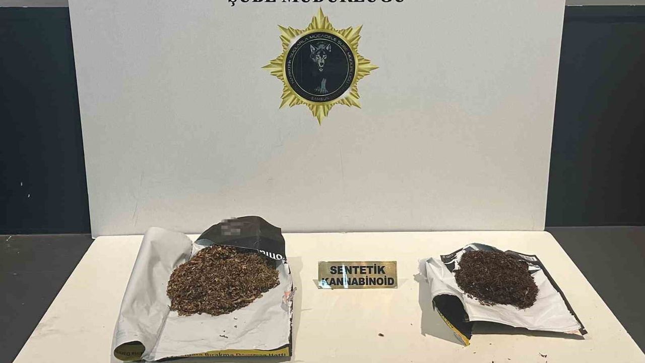 Samsun'da eş zamanlı operasyon: iki ilçede 2 şüpheli gözaltına alındı