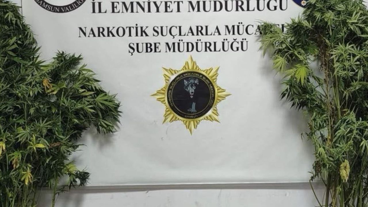 Samsun'da İlkadım ve Bafra baskınlarında binlerce sentetik hap ve aranan dört kişi yakalandı