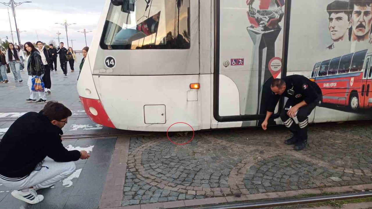 Samsun'da raylar arasında kalan yavru kedi korkuyu sevince dönüştürdü