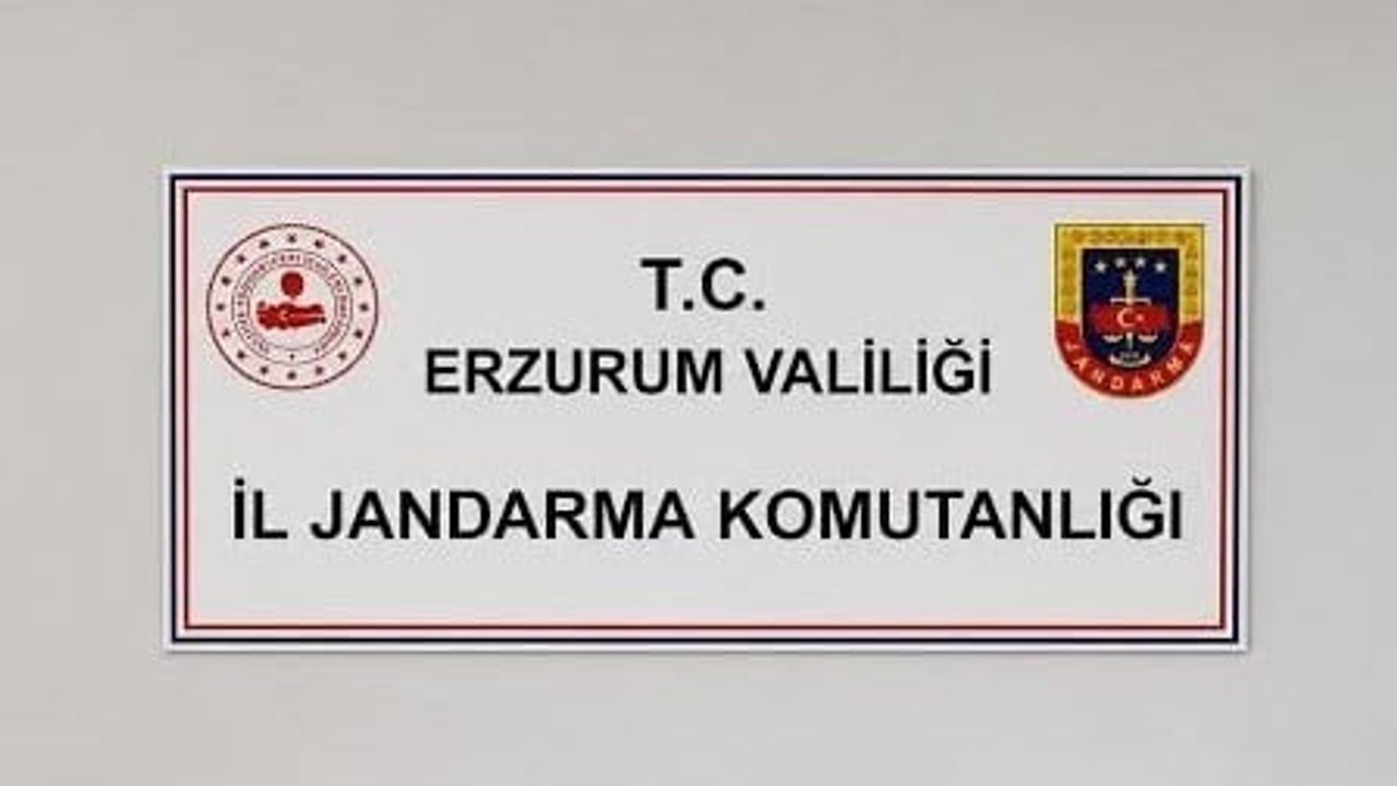 Sanal devriyede 25 şüpheliye adli işlem: Erzurum jandarmasının eylül bilançosu