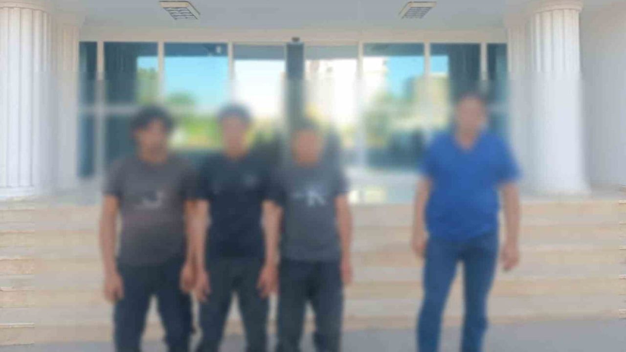Şanlıurfa'da 9 göçmen kaçakçısı yakalandı