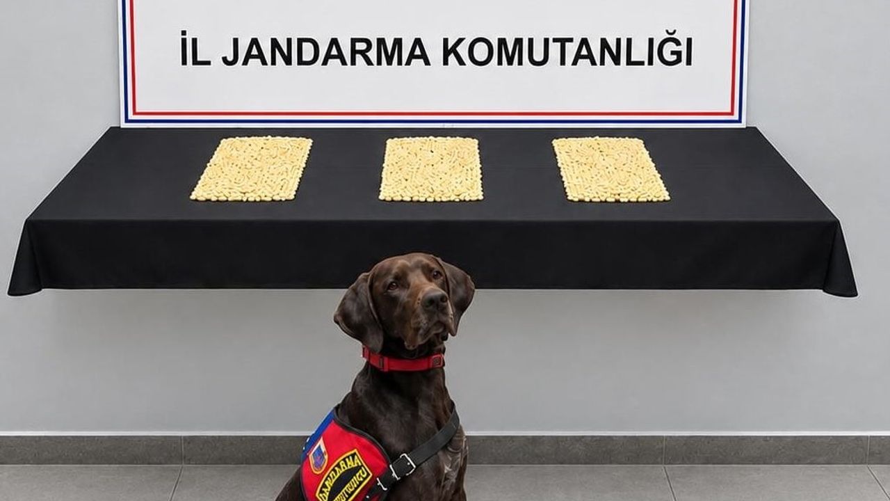 Şanlıurfa'da jandarma operasyonunda 2 bin 970 Captagon hapına el konuldu