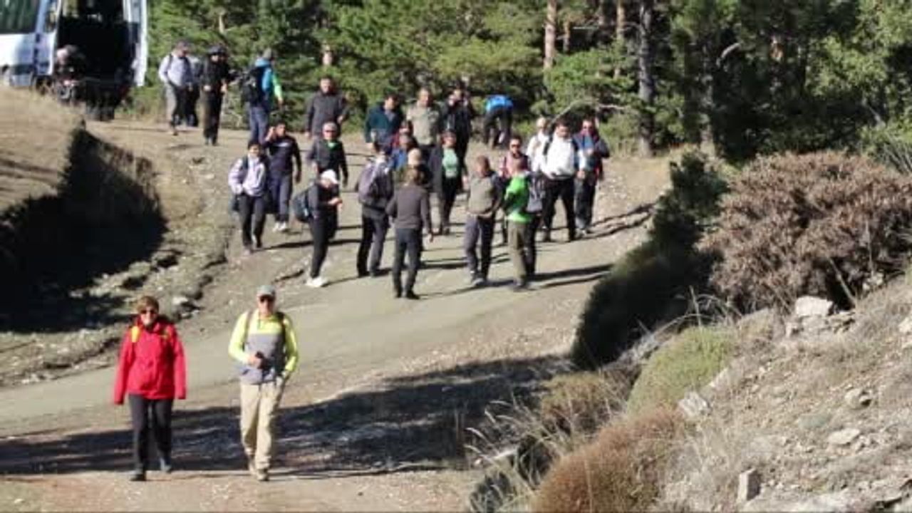 Sarıçamlarda 15 kilometrelik doğa yürüyüşü: mantar sevinci ve yardımlaşma