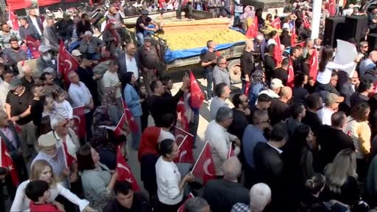 Sarıgöl'de üzümcünün çilesi: maliyetler yükselirken fiyat dip yaptı