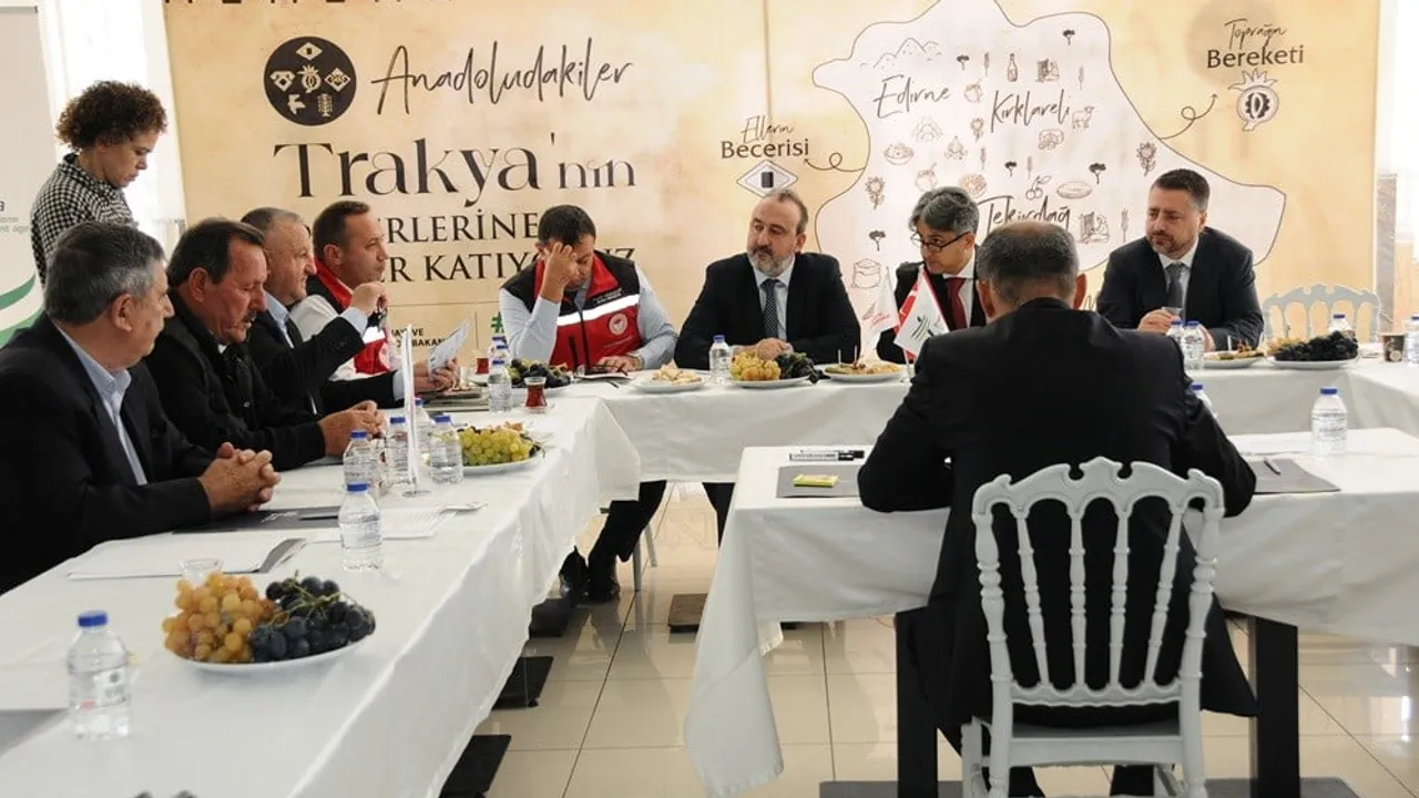şarköy zeytinyağı için yol haritası oluşturuluyor