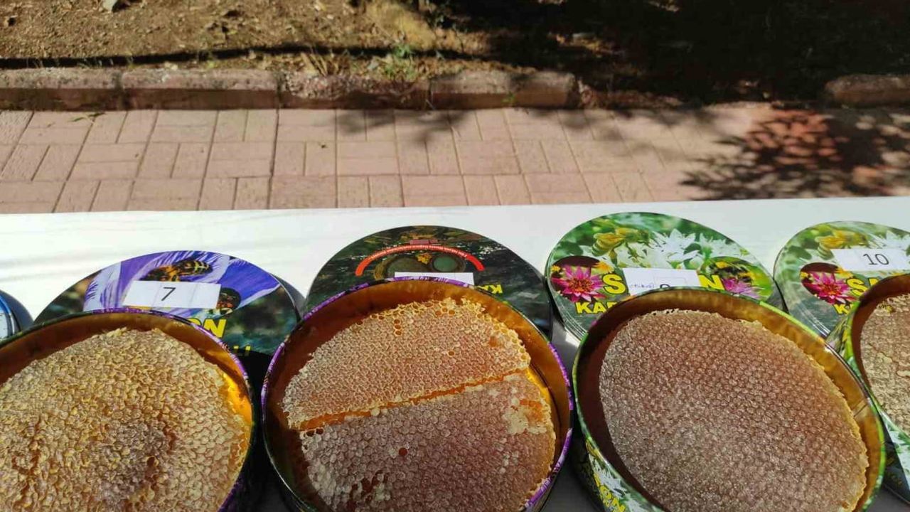 Sason'da arıcıların rekabeti: dördüncü bal yarışması festivale renk kattı