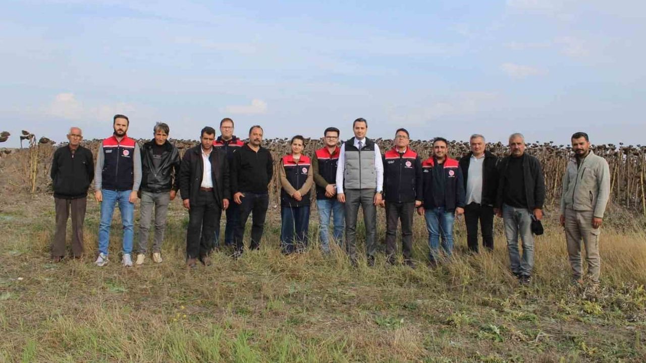 Selim'de 80 dönümlük ayçiçeği hasadı, üretimde çeşitlilik hedefi