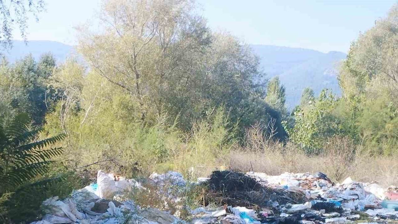 Sıfır atık gündemi: Osmaneli'nde Sakarya Nehri kıyısından 1 römork atık toplandı