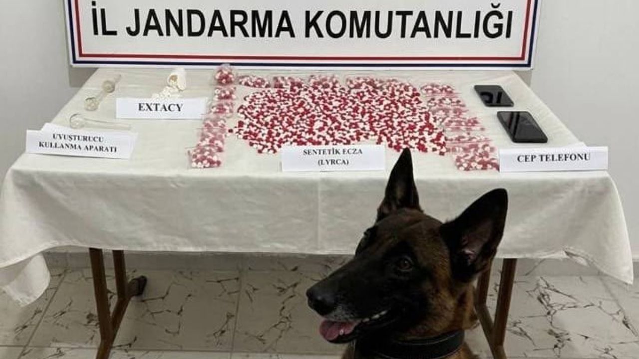 Siirt'te İzmir rotalı operasyon: çantalardan 2 bin 650 hap çıktı