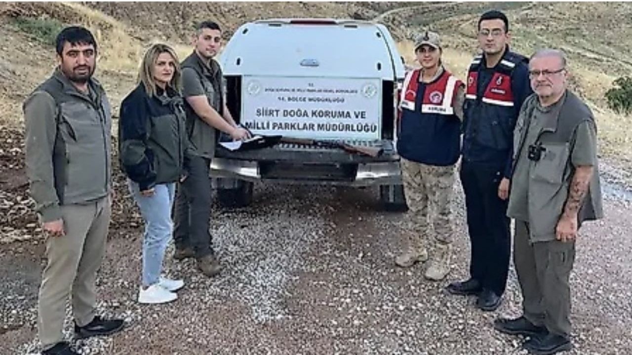 Siirt’te kaçak avcılığa geçit yok: belgesiz avcı yakalandı