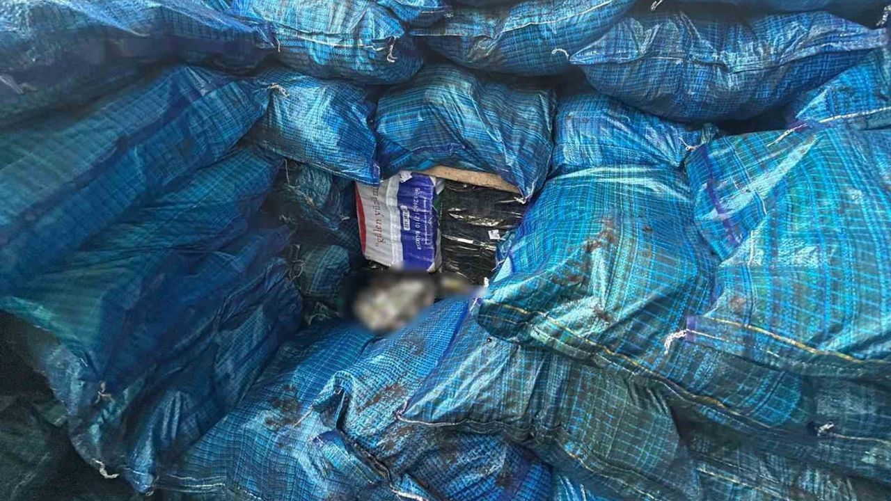 Siirt'te kömür çuvallarına saklanan 10 bin 250 paket kaçak sigara ele geçirildi