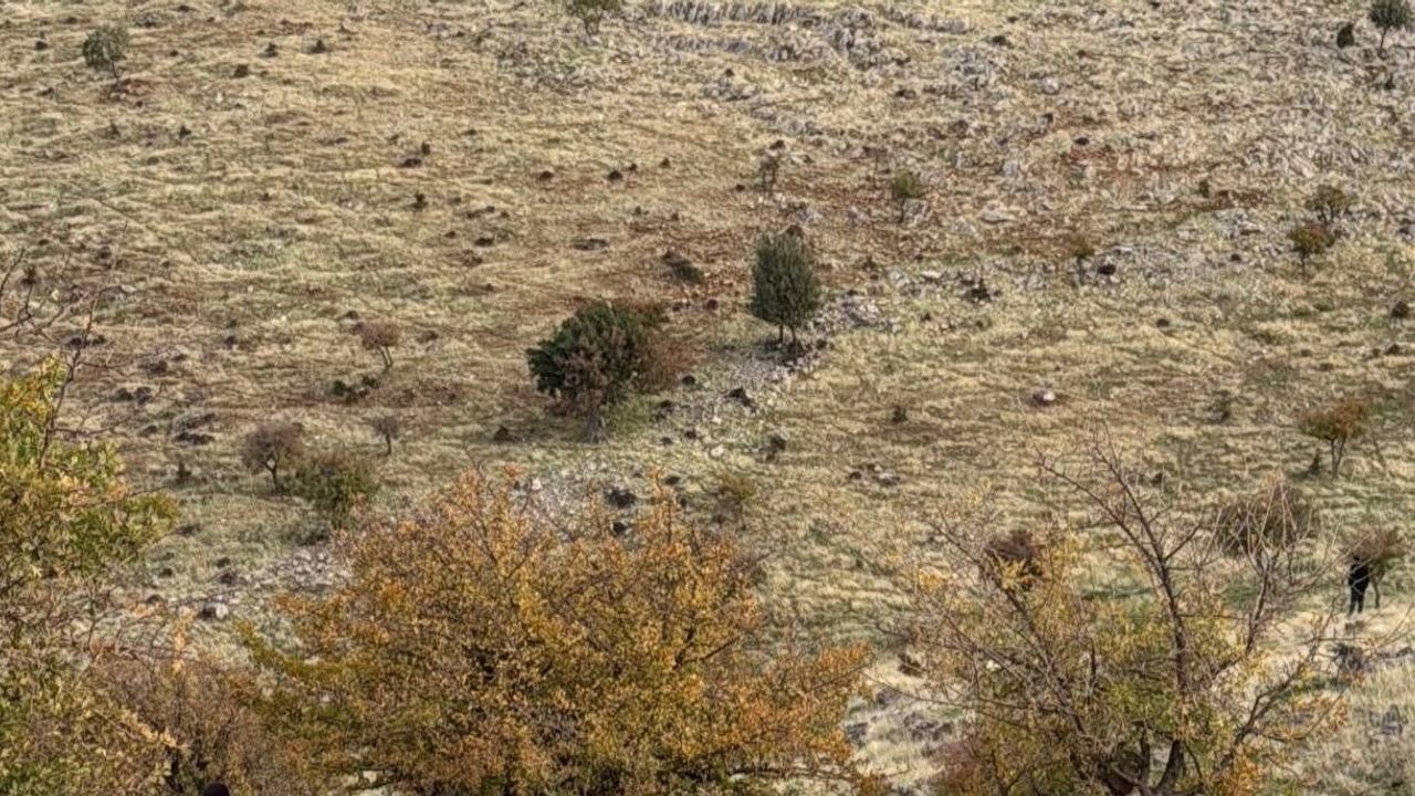 Siirt'te meraya çıkan 28 yaşındaki Hamza Talo ölü bulundu