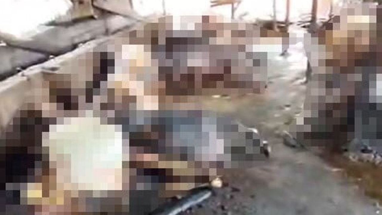 Silivri'de ahır yangını ağır bilanço bıraktı: 14'ü gebe 24 büyükbaş telef oldu