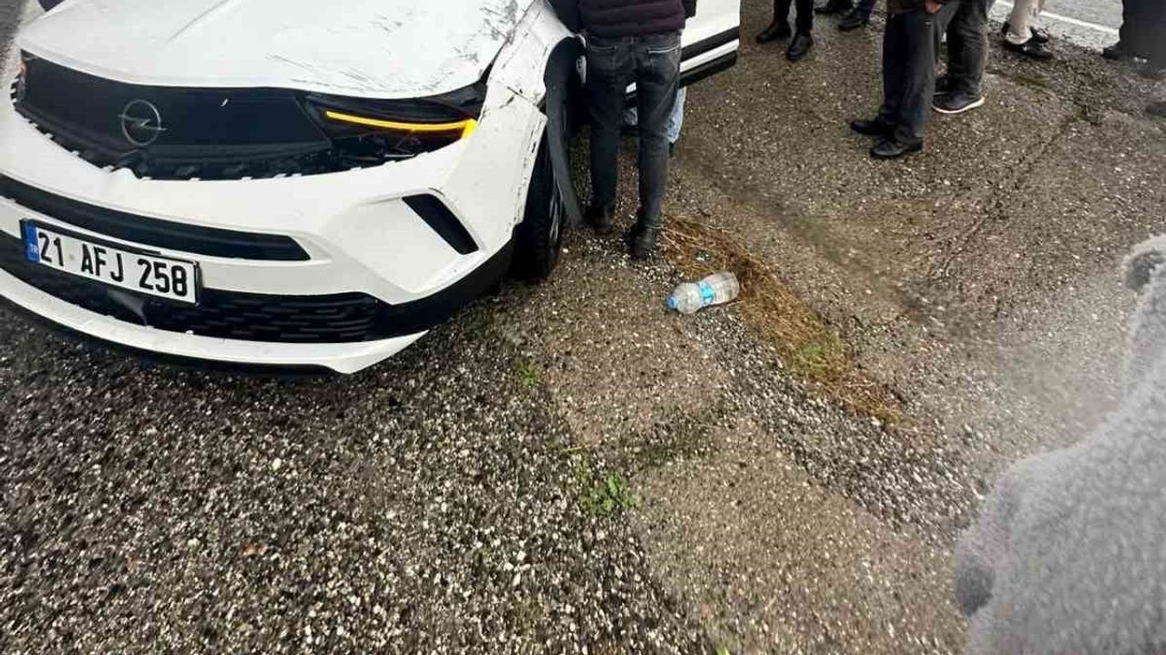 Silvan'da kaygan zeminde direksiyon hakimiyetini kaybeden araç bir kişiyi yaraladı
