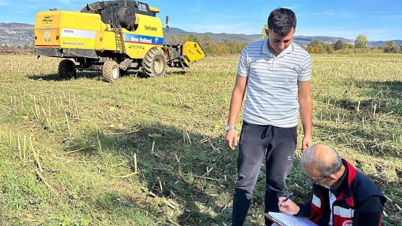 Simav'da çiftçilerin hasat süreci sahada incelendi