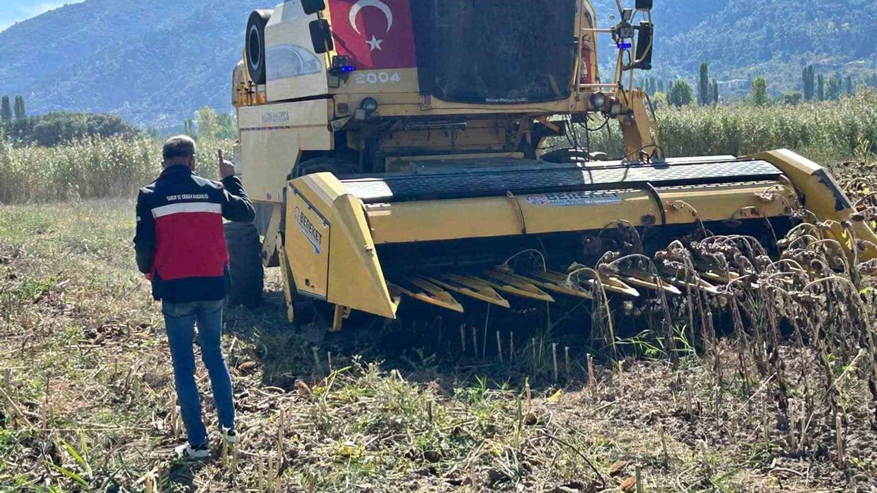 Simav'da yüzde 75 hibeli ayçiçeği tarlalarında hasat denetimi