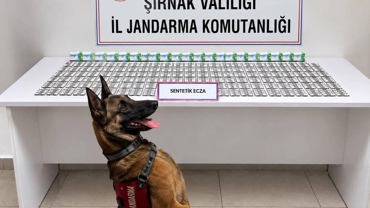 Şırnak’ta jandarmanın huzur operasyonu: 49 aranan yakalandı, 12 kişi cezaevinde