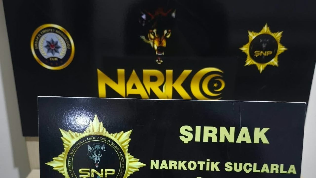 Şırnak'ta kent merkezi, ilçeler ve Habur'da bir haftalık operasyonlarda 104 şüpheli yakalandı