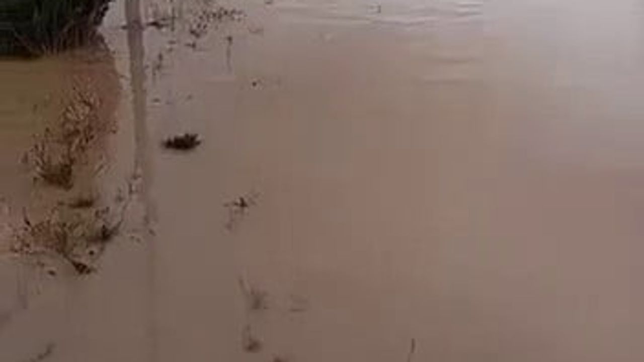 Sivas'ta sağanak tarım arazilerini ve mesire alanını su altında bıraktı