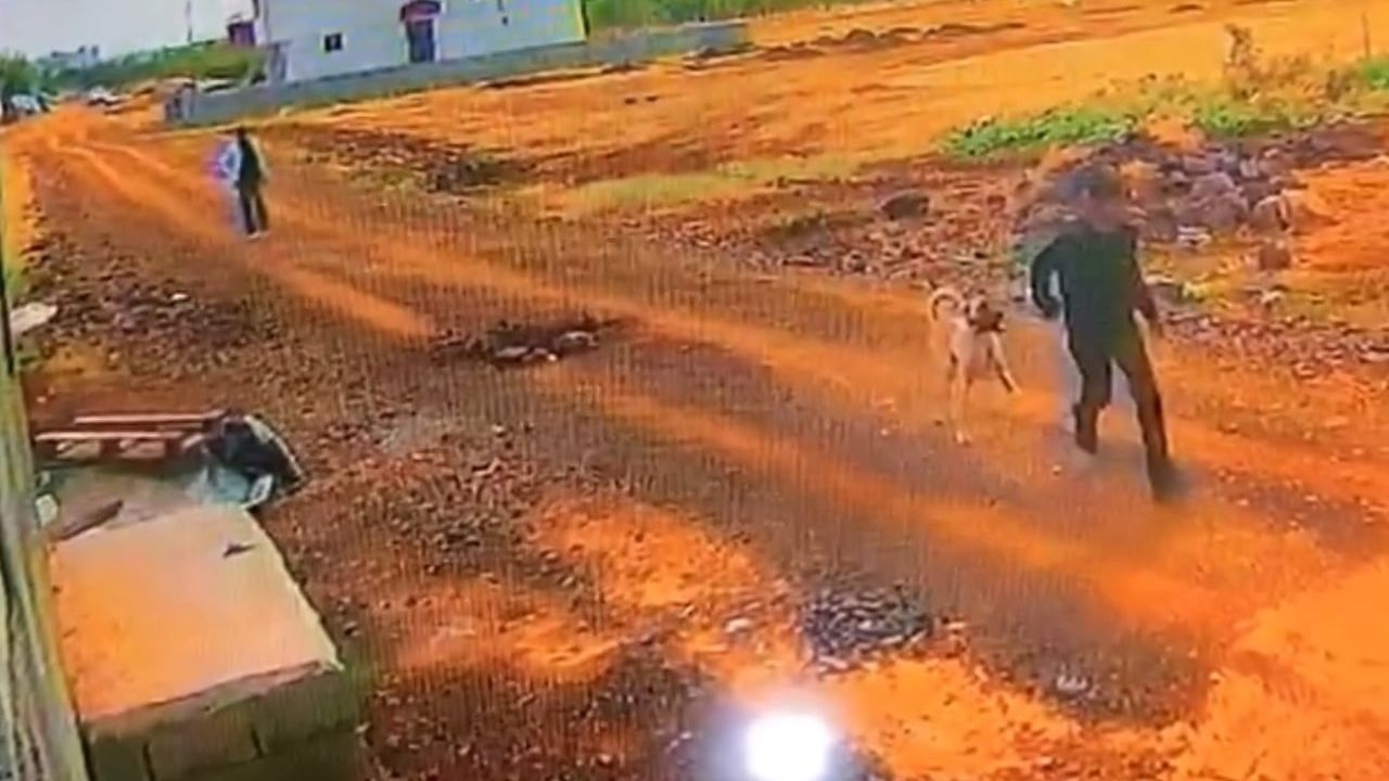 Siverek'te kangal çalındı, hırsızlık anı güvenlik kamerasına yansıdı