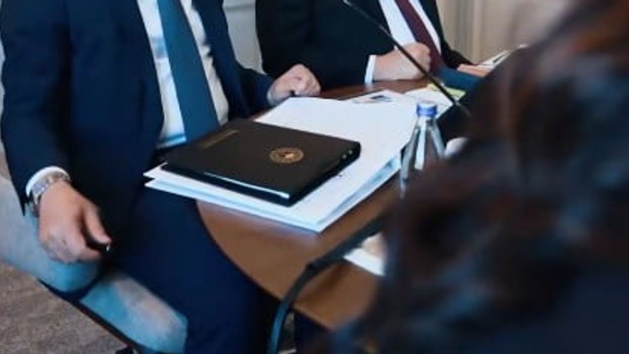 Sokaklar güvenli, canlar korunaklı: sahipsiz hayvan bakımında kararlı adımlar