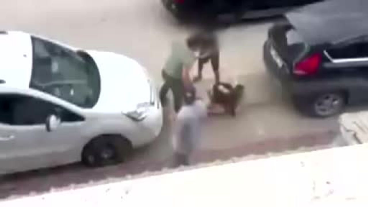 Sokakta annesine müdahale eden çocuk, saldırganı itti
