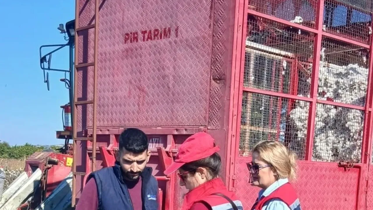 Söke'de çiftçilerle sahada: pamuk hasadında makine denetimi