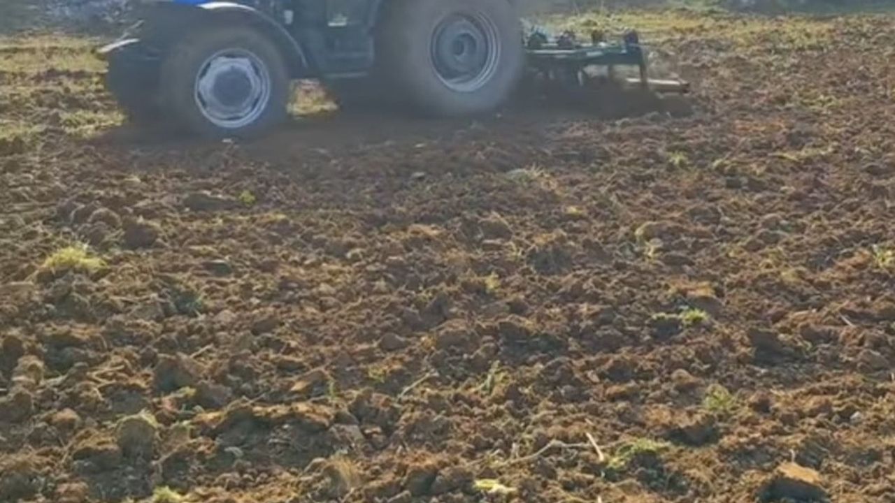 Sonbahar yağmurları Andırın'da buğday ekimine hareket kazandırdı