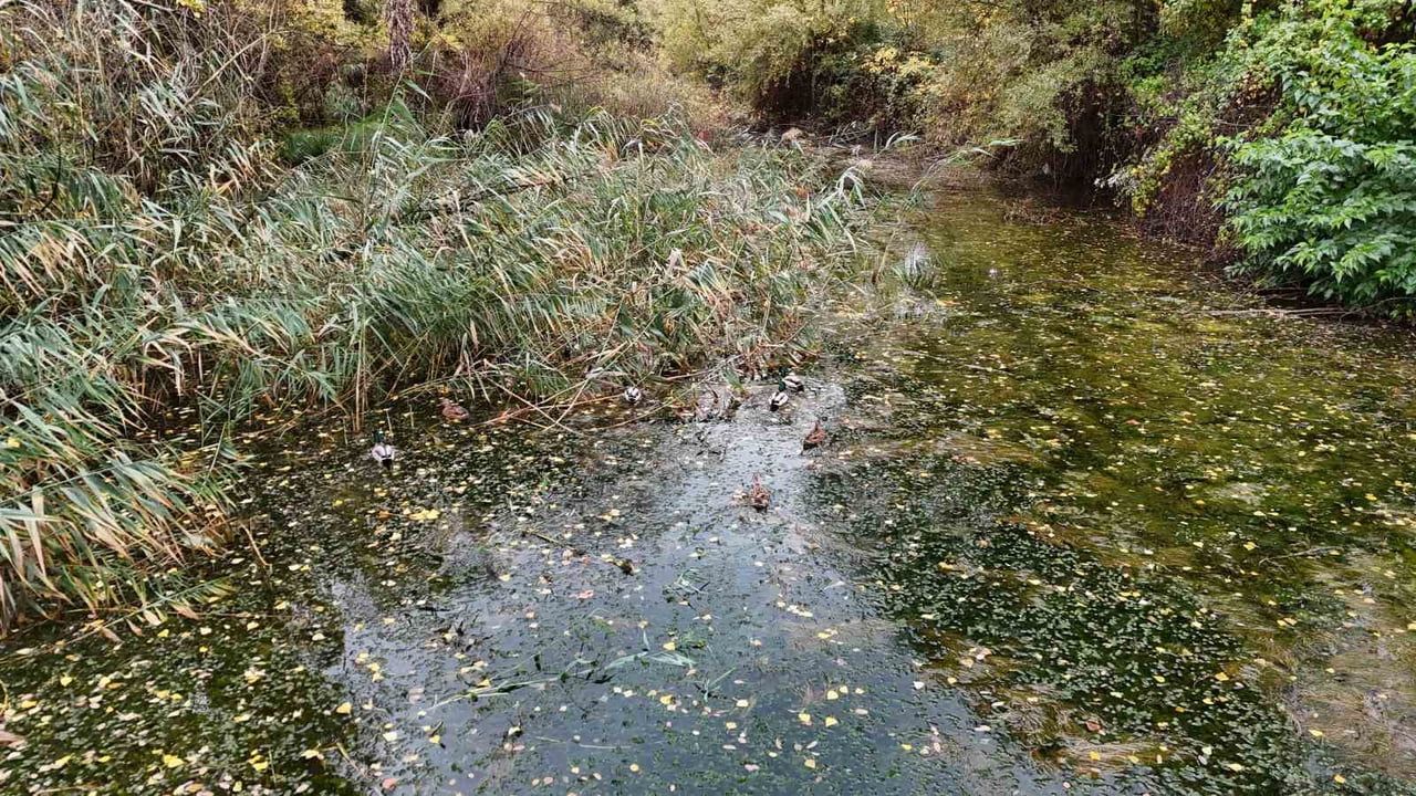 Sonbaharın yağmuru Eskişehir'in doğasını ve su kaynaklarını canlandırdı