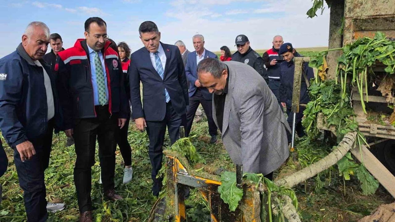 Sultanhanı'nda emeğin bereketi şeker pancarı tarlalarına yansıdı